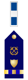 U.S. Coast Guard Chief Warrant Officer 3 Rank Insignia