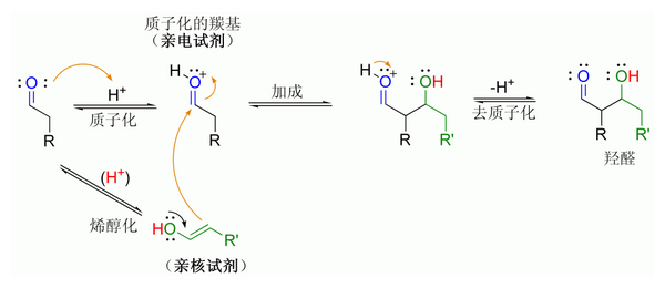 酸－催化下的醛自身缩合机理