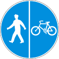 Г16 Segregated pedestrian and bicycle path