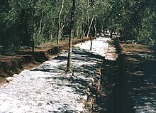 Chichen Itza sacbe 6.jpg