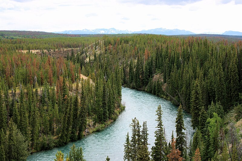 File:Chilko River, Lava Canyon.jpg