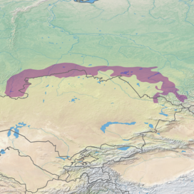 Ecoregion territory (in purple)