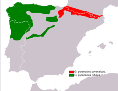 Distribución mundial del desmán ibérico