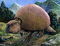 Glyptodon, from South America's Pleistocene, was an auto-sized cingulate, a relative of armadillos.