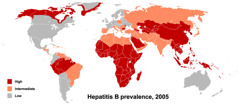 Файл:HBV prevalence 2005.png