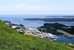 View of Kodiak from Pillar Mountain, 2006