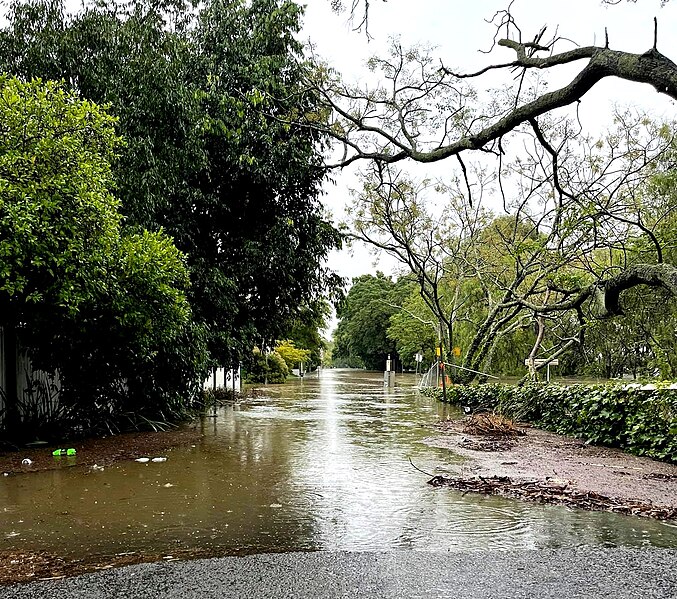 File:March 2021 NSW floods.jpg