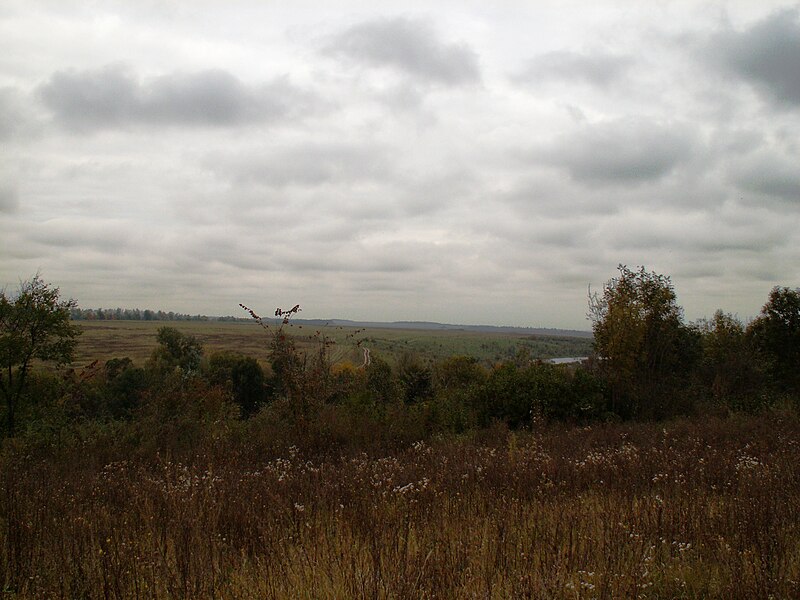 Файл:Mayaniv Ukraine Landscape 1.JPG