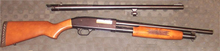 Mossberg 500 2 barrels.png