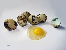 Quail eggs (Перепелиные яйца).jpg