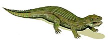 Miniatura para Chimaerasuchidae