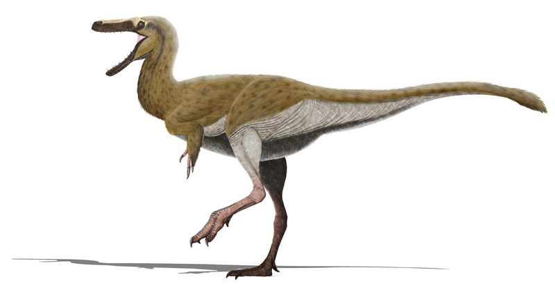 File:Xiongguanlong baimoensis.png