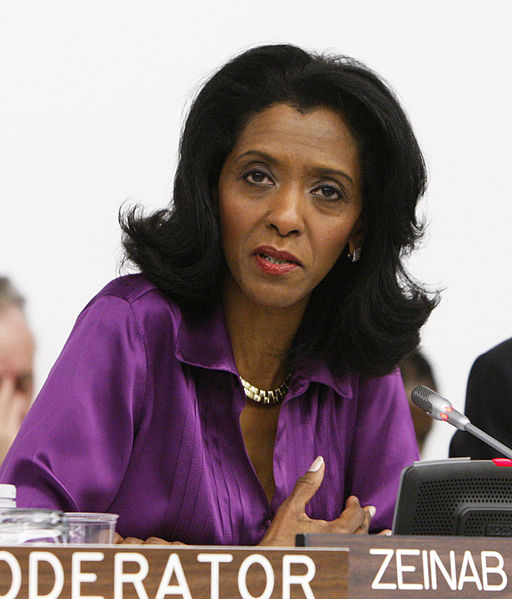 File:Zeinab Badawi crop UNISDR.jpg