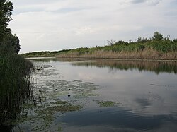 река Бердия близ села Петропавловка