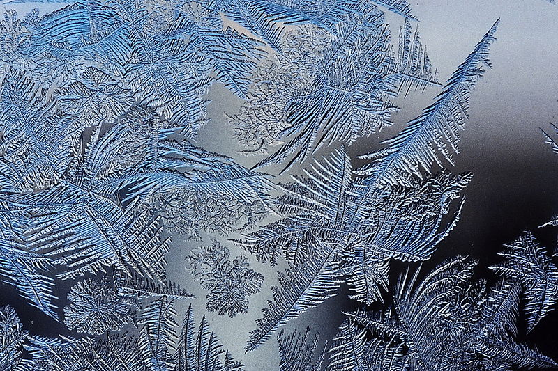 Archivo:Frost patterns 2.jpg