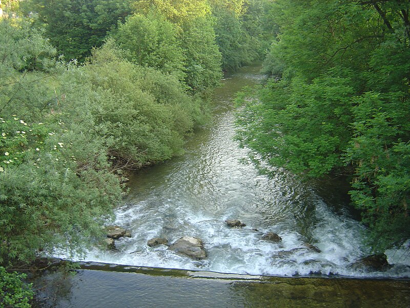 File:Kranj Kanjon Kokre.JPG