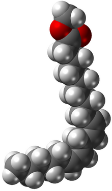 Methyl Linoleate.png