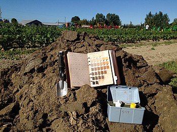 Soil dug from a pit in the Lower Fraser Valley, British Columbia, Canada