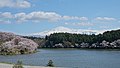 竹島潟與鳥海山