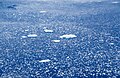 Aerial view showing an expanse of drift ice consisting mostly of water. (Scale not available.)