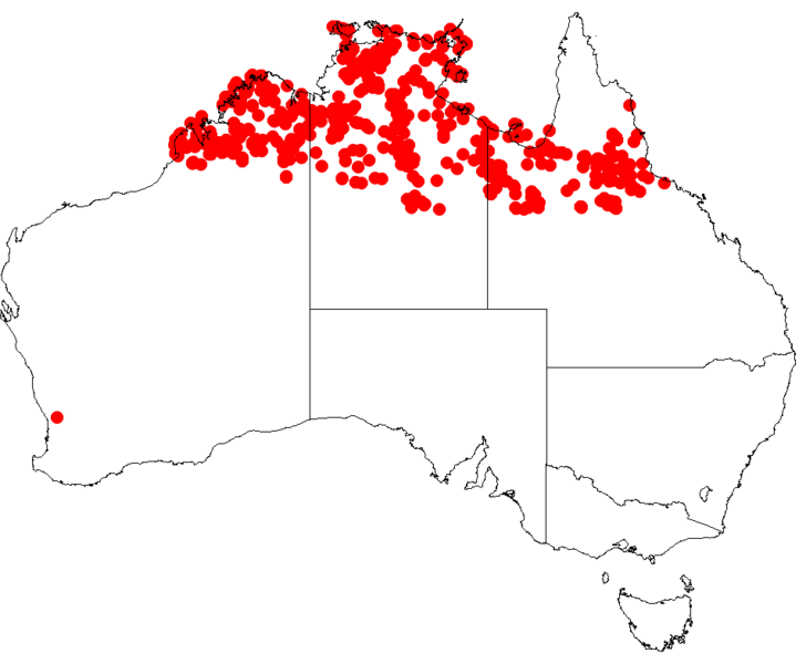 File:Hakea arborescensDistMap8.png