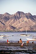 Komodo National Park