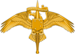 Thumbnail for Marine Special Operator Insignia