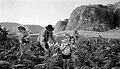 Manuel Rivera-Ortiz: "La cosecha del tabaco, Valle de Viñales, Cuba" 2002.