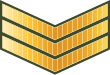 File:Maldives-Army-OR-5.svg