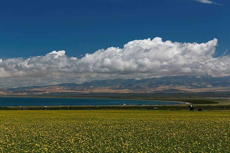 File:Qinghai Lake 2016.jpg