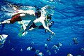 Snorkelers swim with fish.