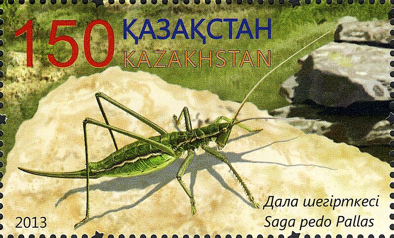 Файл:Stamps of Kazakhstan, 2013-59.jpg