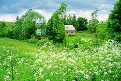 View of houses in Tokarnia Village