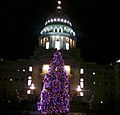 City Christmas tree in front of the Capitol Building in 2010