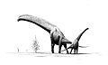 Drawing of Brachiosaurus