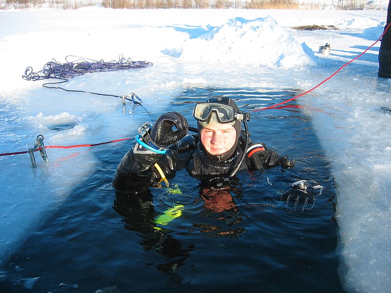 Файл:Diving signal ok handshoe.jpg