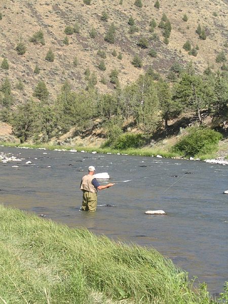 File:Fly fisher crooked river.jpg