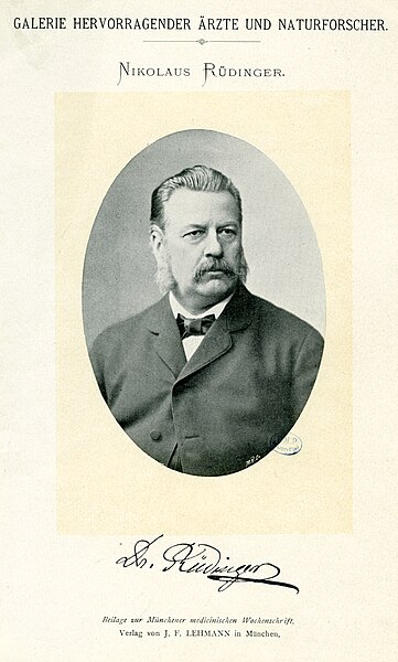 Файл:Nikolaus Rüdinger CIPB0599.jpg