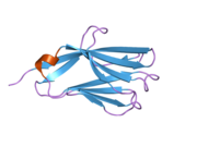 2nms: The Crystal Structure of the Extracellular Domain of the Inhibitor Receptor Expressed on Myeloid Cells IREM-1