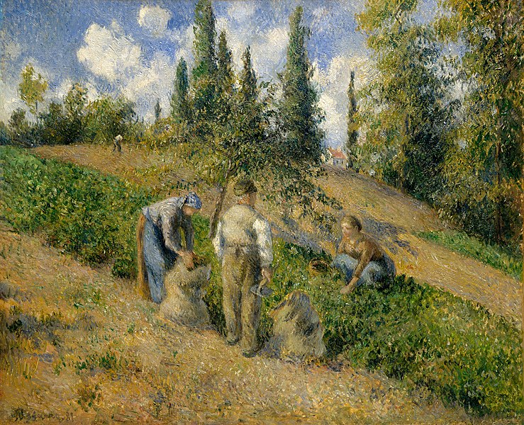 File:The Harvest, Pontoise.jpg