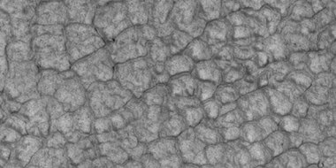 Close-up of high center polygons seen by HiRISE under HiWish program. Troughs between polygons are easily visible in this view. Location is Ismenius Lacus quadrangle.