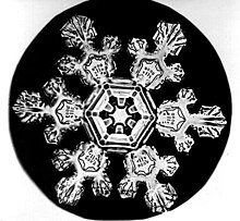 Bentley Snowflake11.jpg