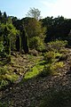 Biotopo de brezal en el "Botanischer Garten Chemnitz".