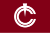 Flag of Tōyō