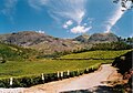 Munnar tea plantations