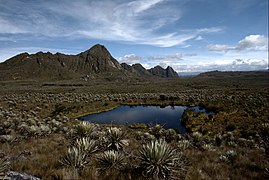 Alpine tundra climate in the Sumapaz Paramo