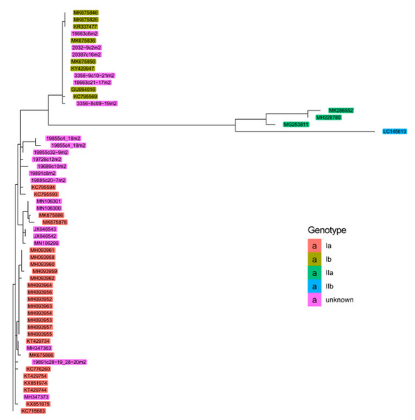 File:PRV M2 Sequence compariston.png