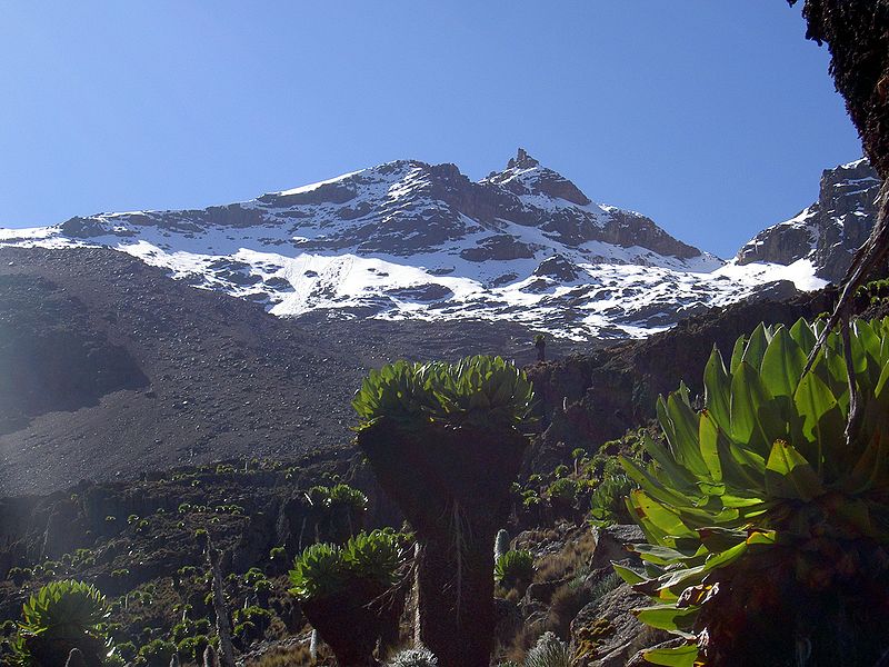 File:Pt Lenana Mt Kenya.JPG