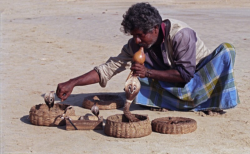 File:Snake charmer(js).jpg