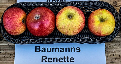 Manzanas 'Baumanns Renette'.